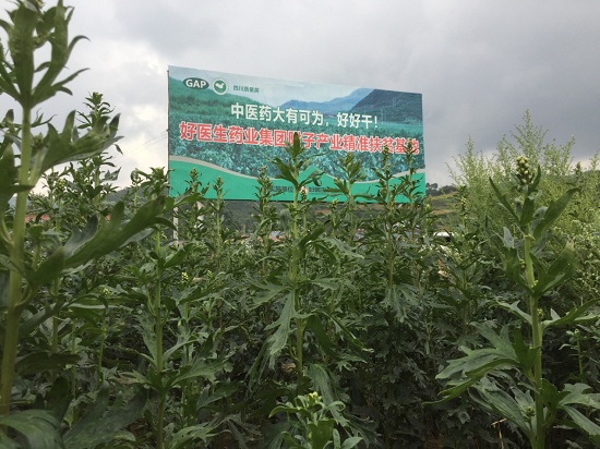 2图.jpg