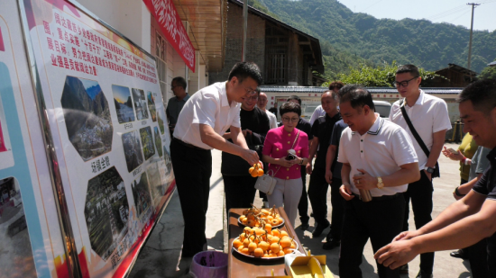 图片2(1).png